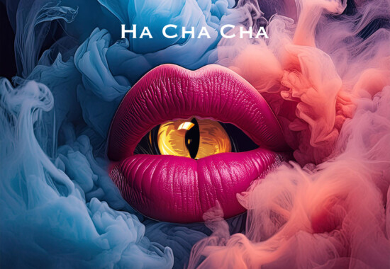 Ha cha cha ジャケット写真